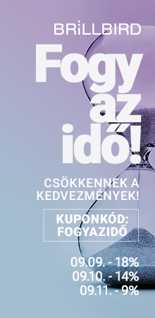 Kép